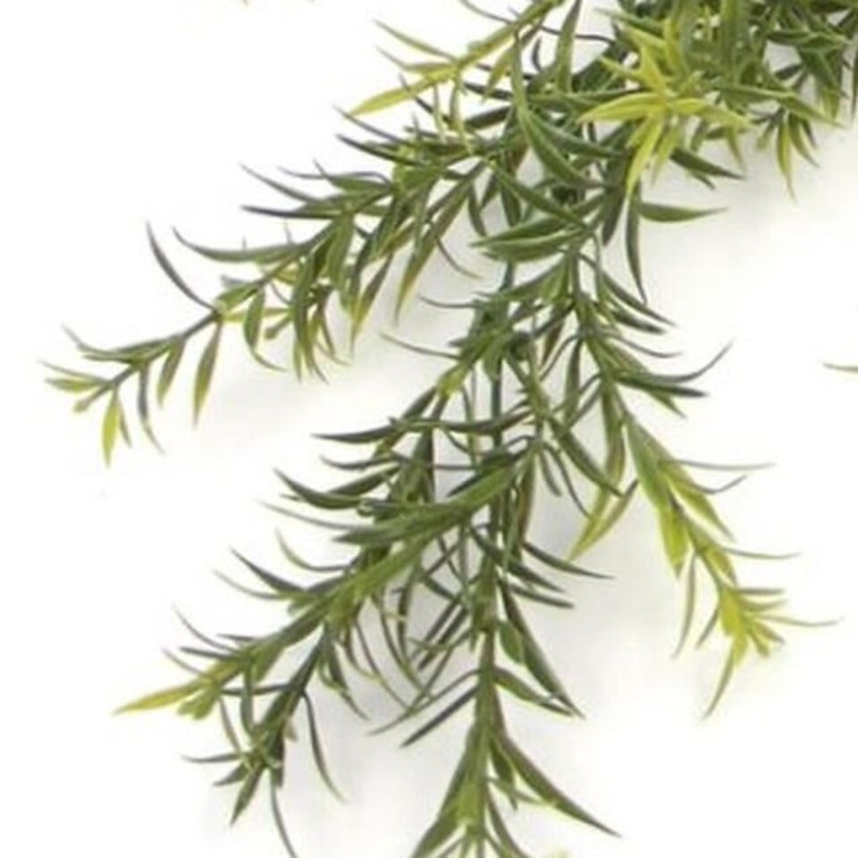 image 1 of Pack of 6 x Hanging UV and Fire Resistant Artificial Spider Fern Plant 78cm