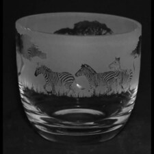 Animo Glass Candle Holder Engraved Pot Zebra