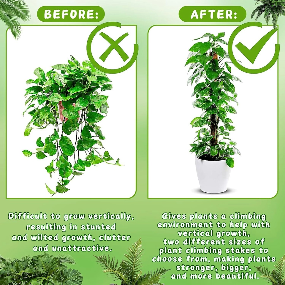 image 1 of 4 Pack Monstera Climbing Support, 2 Pack 60cm & 2 Pack 120cm Planting Stick Coconut Plant Support