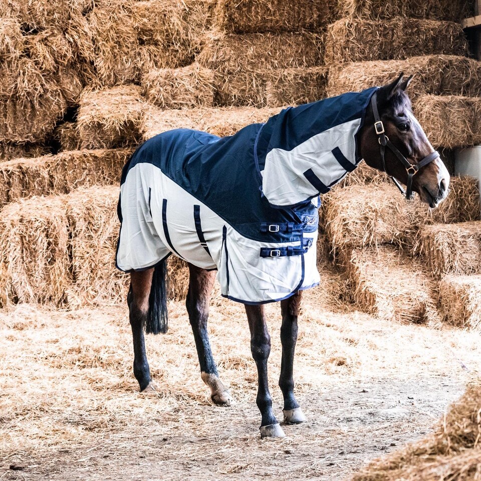 image 1 of eQuitack 600D 2 in 1 Waterproof Fly Turnout Mesh Horse Rug Fixed Neck Navy/Silver 6'0''
