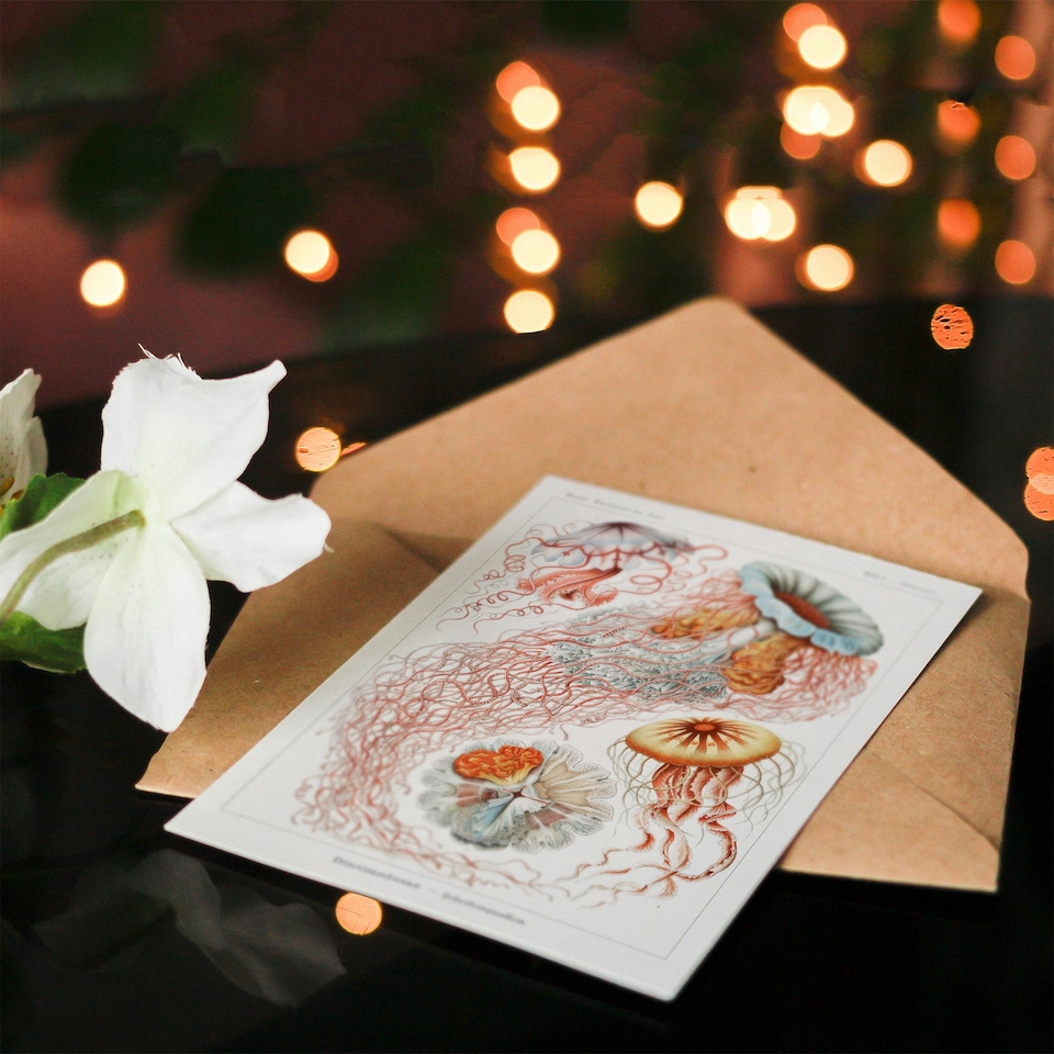 image 1 of Ernst Haeckel Art Card Lions Mane Jellyfish Illustration