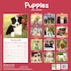 image 2 of Puppies 2026 Calendar | Square Wall Calendar | Dog Breed Gift | Plastic Free Packaging | by Avonside Publishing
