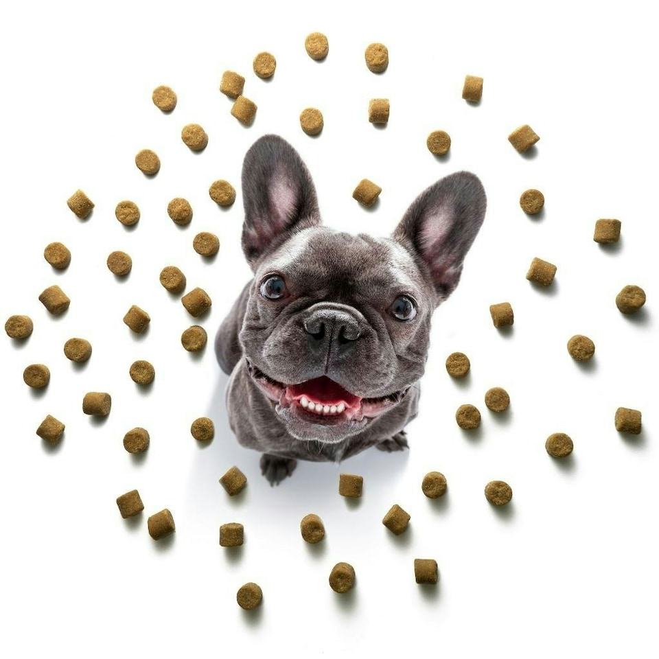 image 1 of Skin & Coat Treats