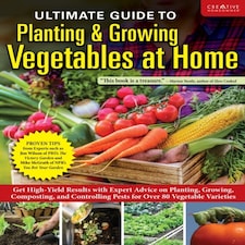 Ultimate Guide To Planting & Harvesting
