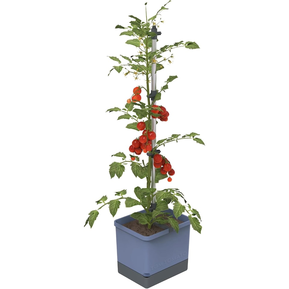 image 1 of Gusta Garden Tom Tomato Tomato Pot Blue - Planter with Climbing Aid, Self-Watering System & Plant Clips - 4.5L Water Reservoir & 20L Soil Capacity