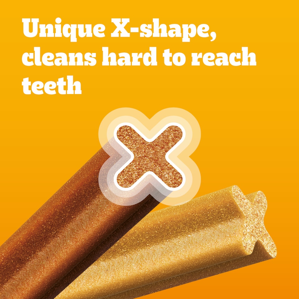 image 1 of 112 Pedigree Daily Dentastix Dental Sticks Dog Treats Medium Dog Chews