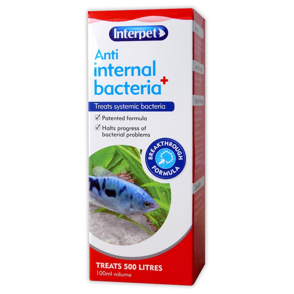 image 1 of Interpet Anti Internal Bacteria Treatment 100ml