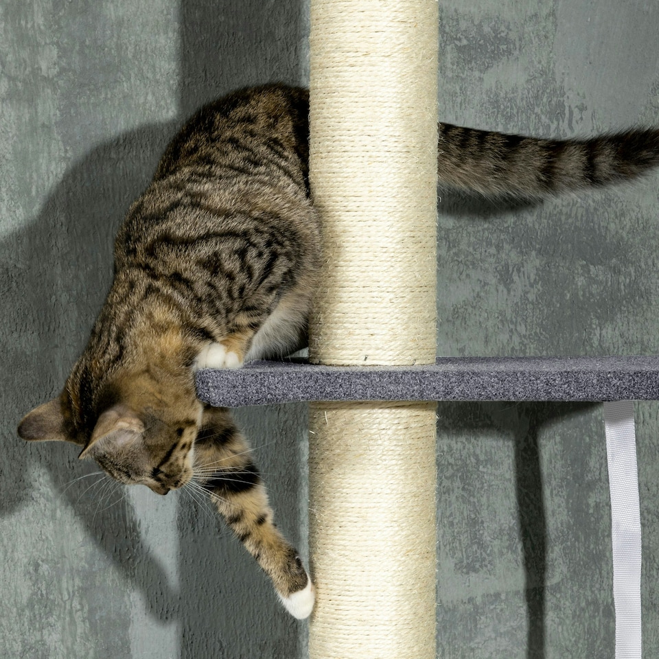 image 1 of PawHut 5 Tier Cat Climbing Tower, 240-270cm Height Adjustable, Dark Grey