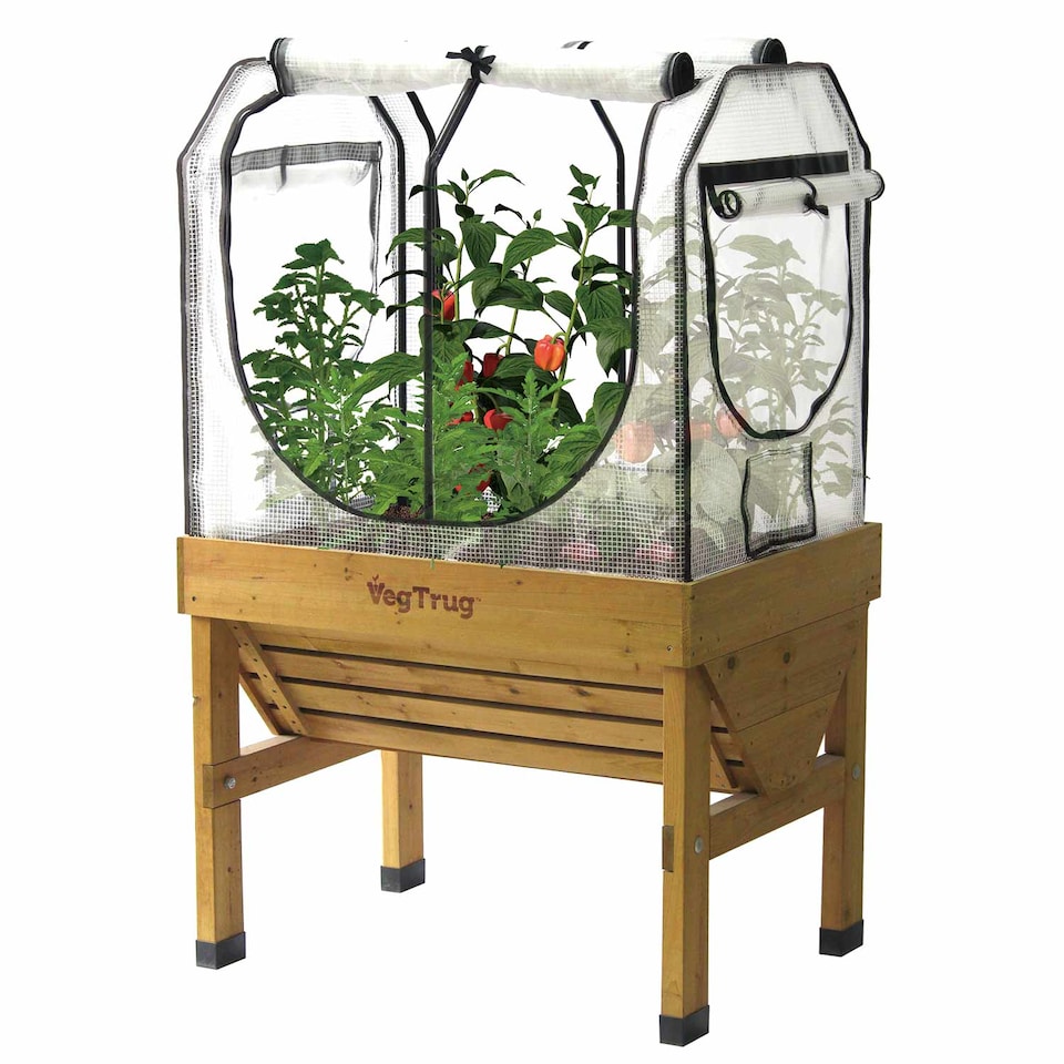 image 1 of VegTrug Small Greenhouse Frame & PE Micro-Mesh Cover Set
