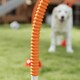 image 8 of PawHut 4-Piece Dog Agility Training Equipment with Bag, Orange