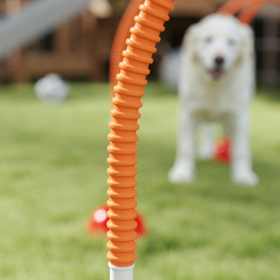image 1 of PawHut 4-Piece Dog Agility Training Equipment with Bag, Orange