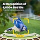 image 3 of BIRDFY FEEDER METAL AI RECOGNITION