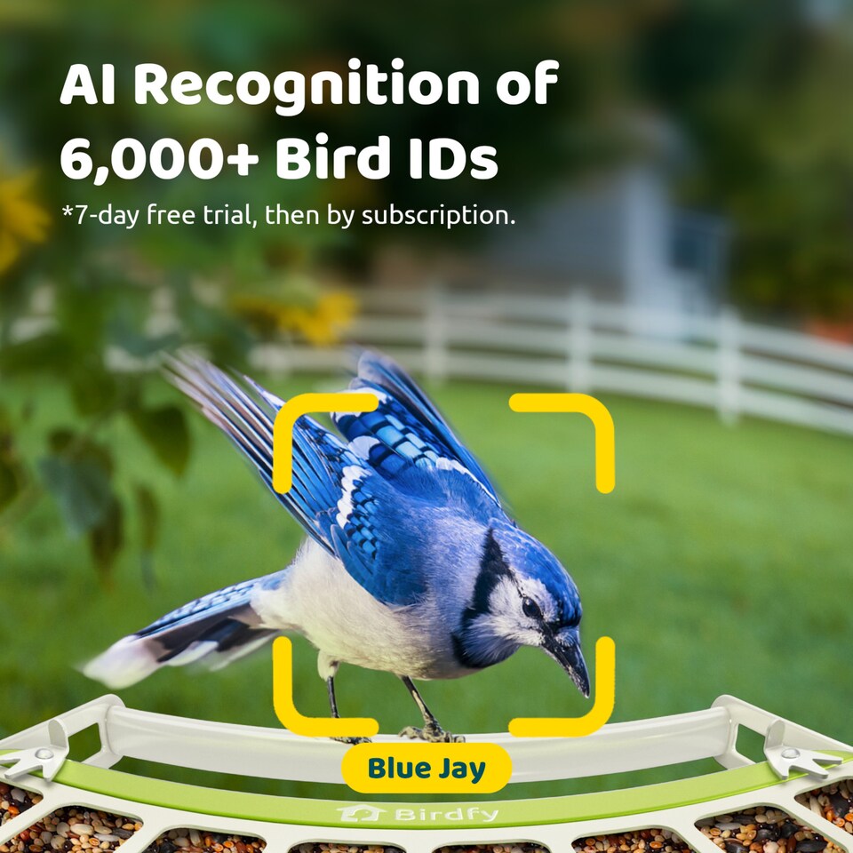 image 1 of BIRDFY FEEDER METAL AI RECOGNITION