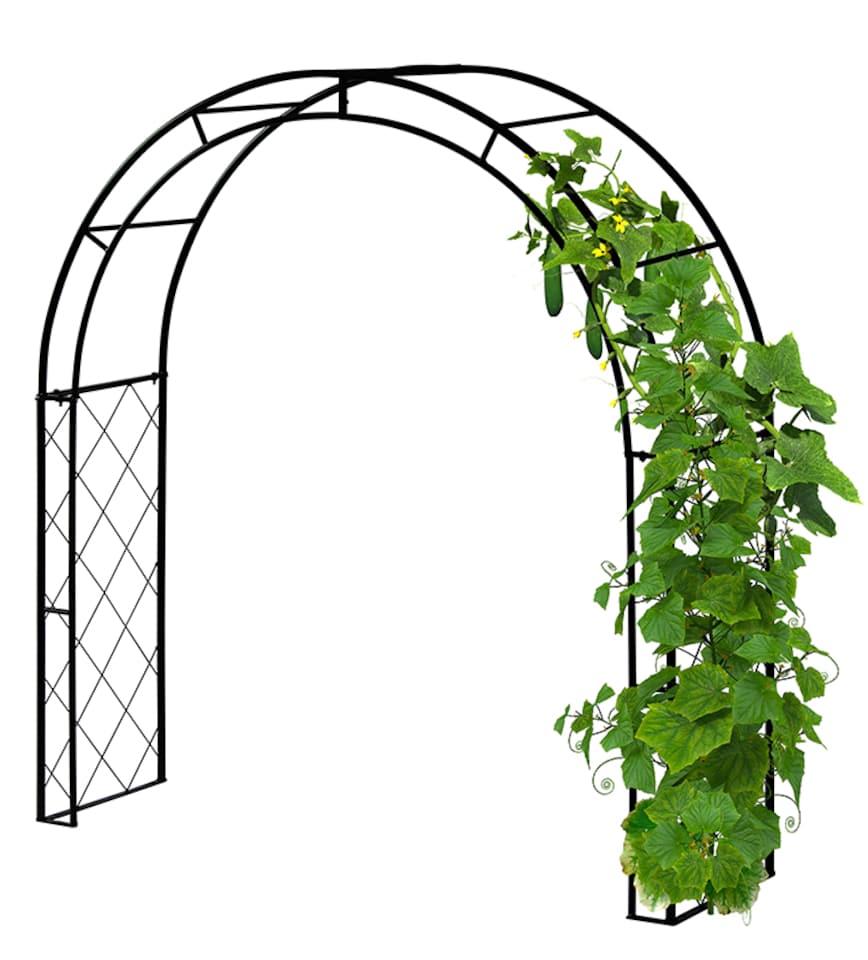 image 1 of Climbing Arch Black | Black