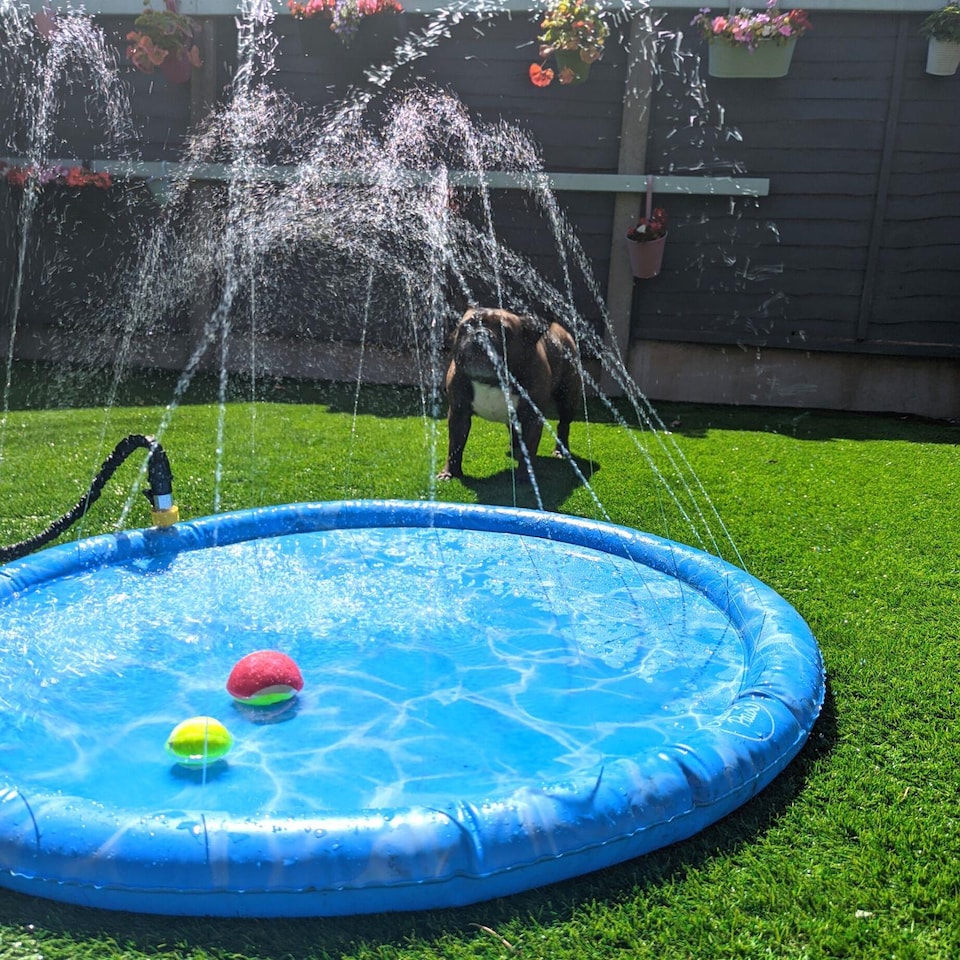 image 1 of Outdoor Splash Pool Sprinkler Pad Dogs Puppies Pet Cooling Children Kids 100cm