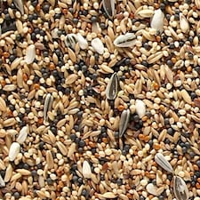 Johnston and Jeff Canary Favourite Mixed Seed 20kg