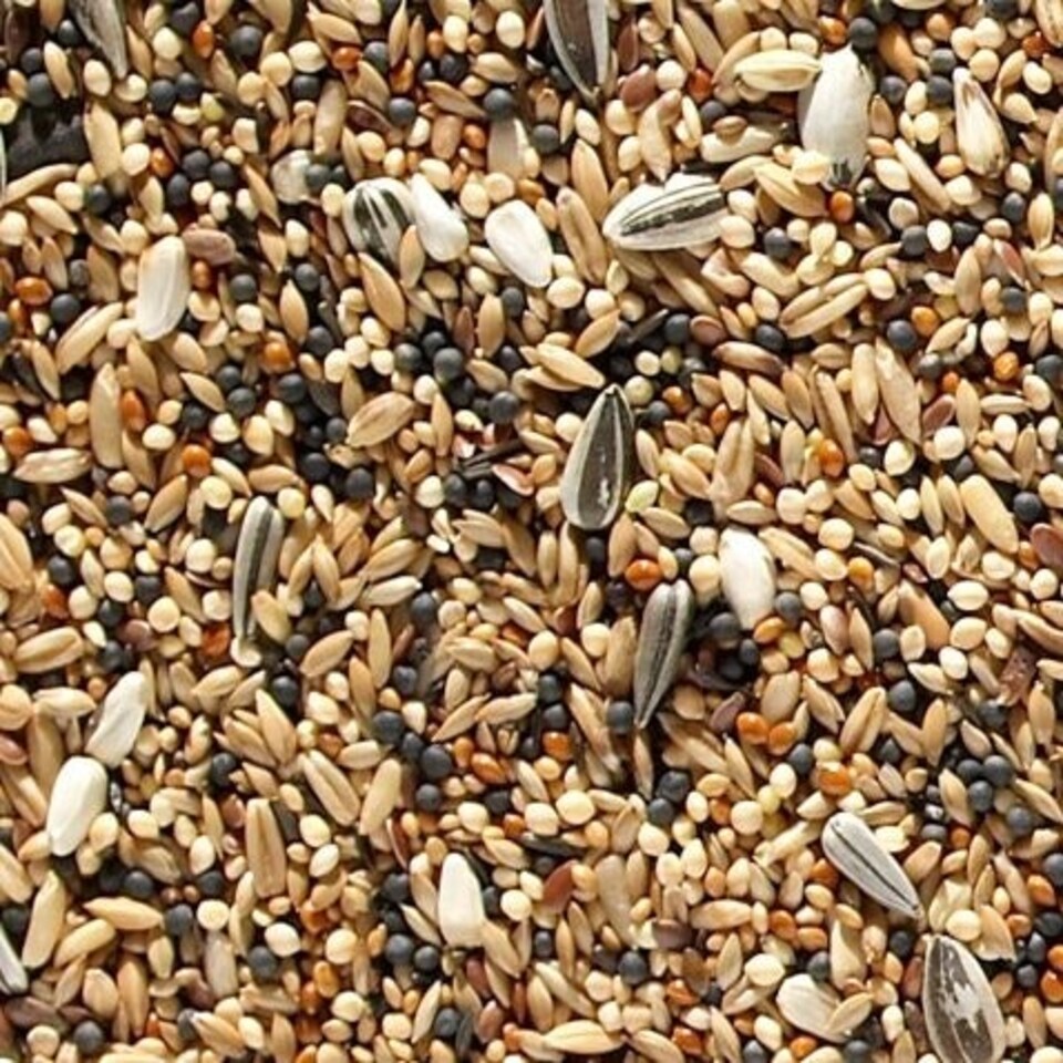 Johnston and Jeff Canary Favourite Mixed Seed 20kg