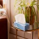 image 5 of Soft White Facial Tissues, Box of 100 - 1 Pack