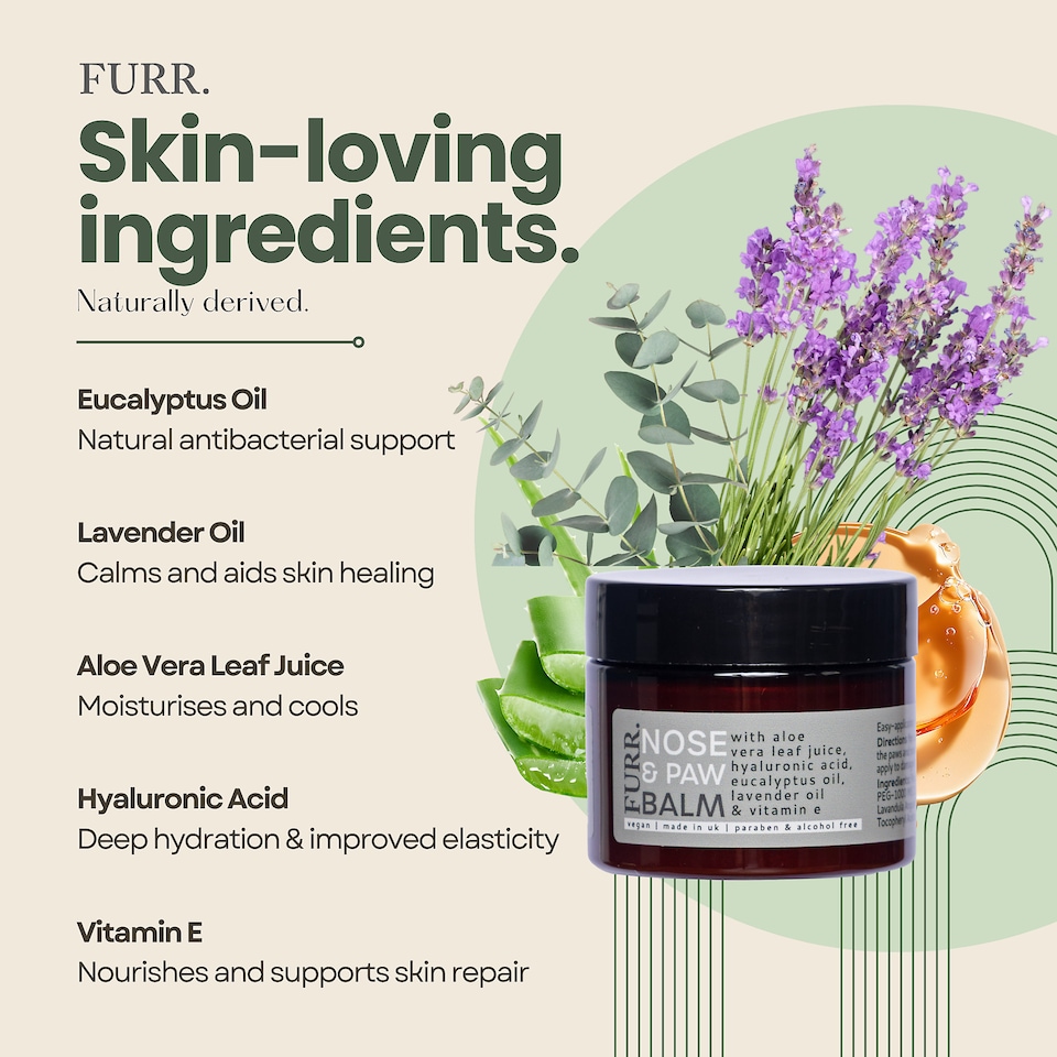 image 1 of FURR Paw & Nose Balm for Dogs 50ml, Lick-Safe, Natural Healing & Hydration for Dry Noses & Cracked Paws