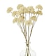 image 4 of Hill Interiors Allium Spray Artificial Flower - Cream - One Size