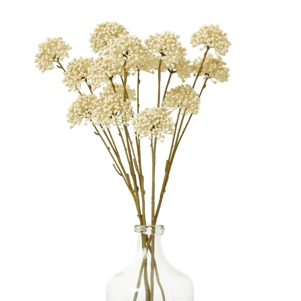 image 1 of Hill Interiors Allium Spray Artificial Flower - Cream - One Size