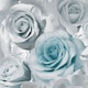 image 1 of Muriva Madison Roses Wallpaper - Blue - 10m x 53cm Blue