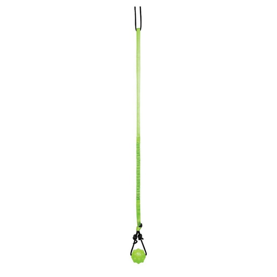 Jolly Pets Dog Toy - Green/Black - One Size