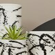 image 2 of Sorrell Black and White Small Planter White