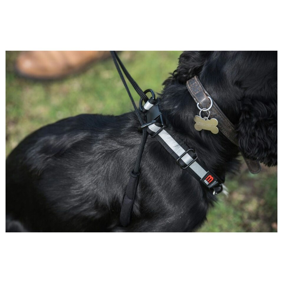 image 1 of Mikki Anti Pull Harness - Medium