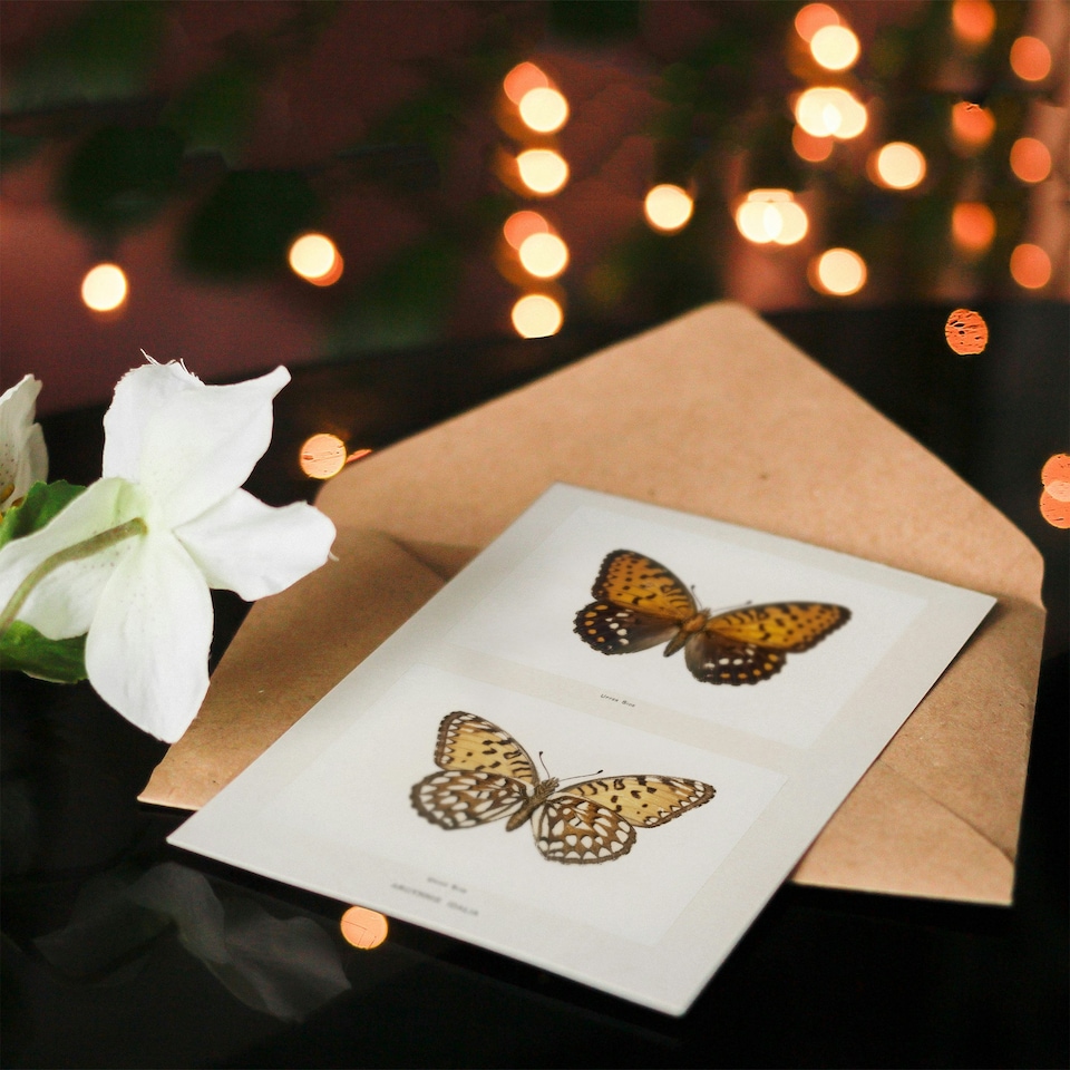image 1 of Sherman Denton Art Card Regal Fritillary Butterfly
