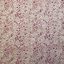 Pink & Gold