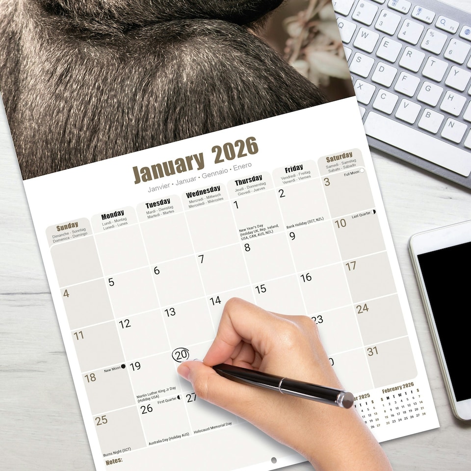 image 1 of Apes 2026 Calendar | Square Wall Calendar | Animal Gift | Plastic Free Packaging | by Avonside Publishing