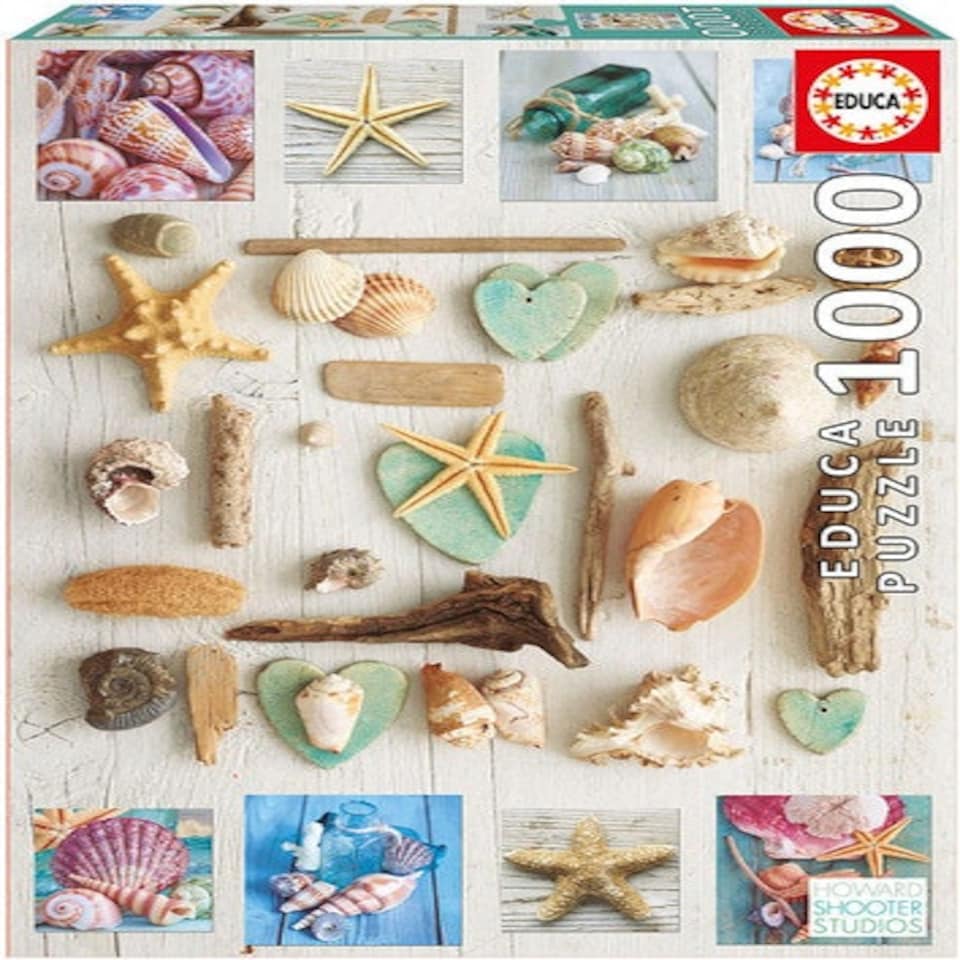 image 1 of Paul Lamond Educa Borras Seashells Collage 1000 Piece Jigsaw Puzzle