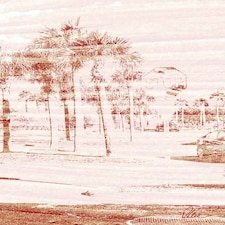 Bronze Palm (Canvas Print) 24" x 16"