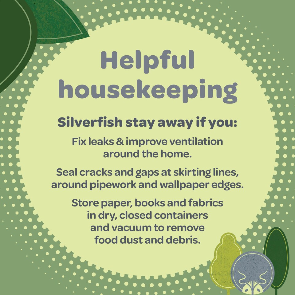 image 1 of Inoscent Flea Spray for the Home (5L with Pressure Sprayer) - For Carpets, Pet Bedding & Soft Furnishings - Pet & Family Safe