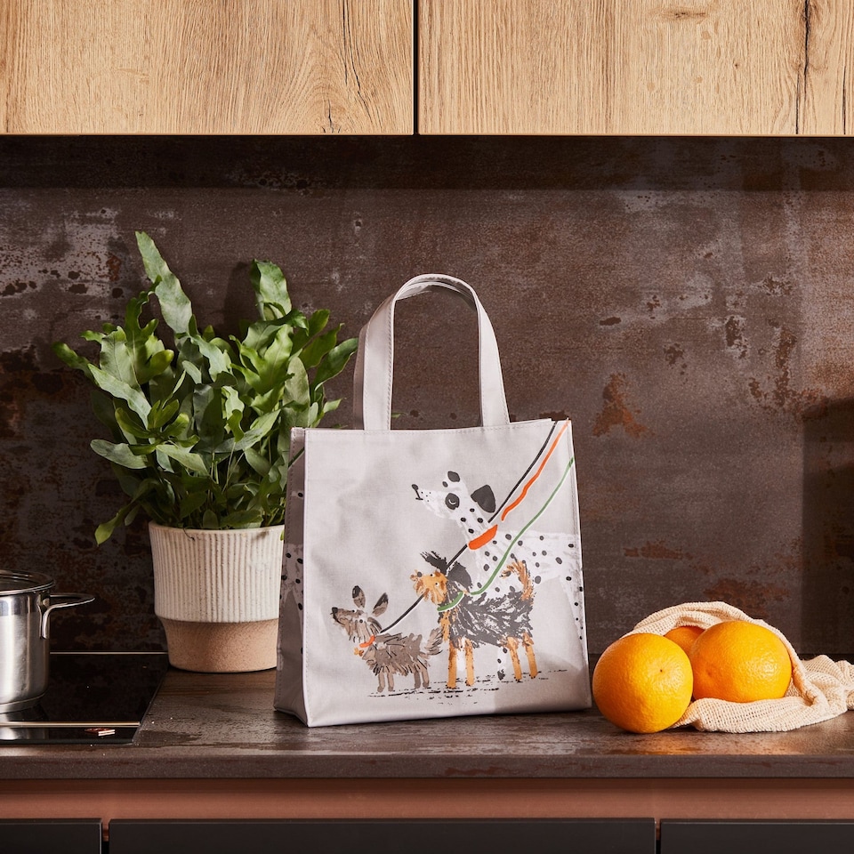 image 1 of Ulster Weavers Dog Days PVC Bag - Small Grey