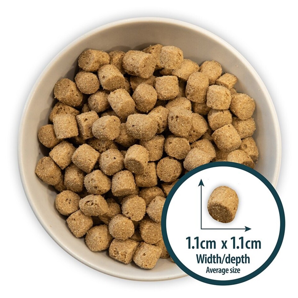 image 1 of Burns Puppy Lamb & Rice Dry Dog Food - 2 kg