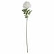 image 1 of Classic Peony Artificial Plant - Fabric/Plastic - L13 x W13 x H69 cm - White