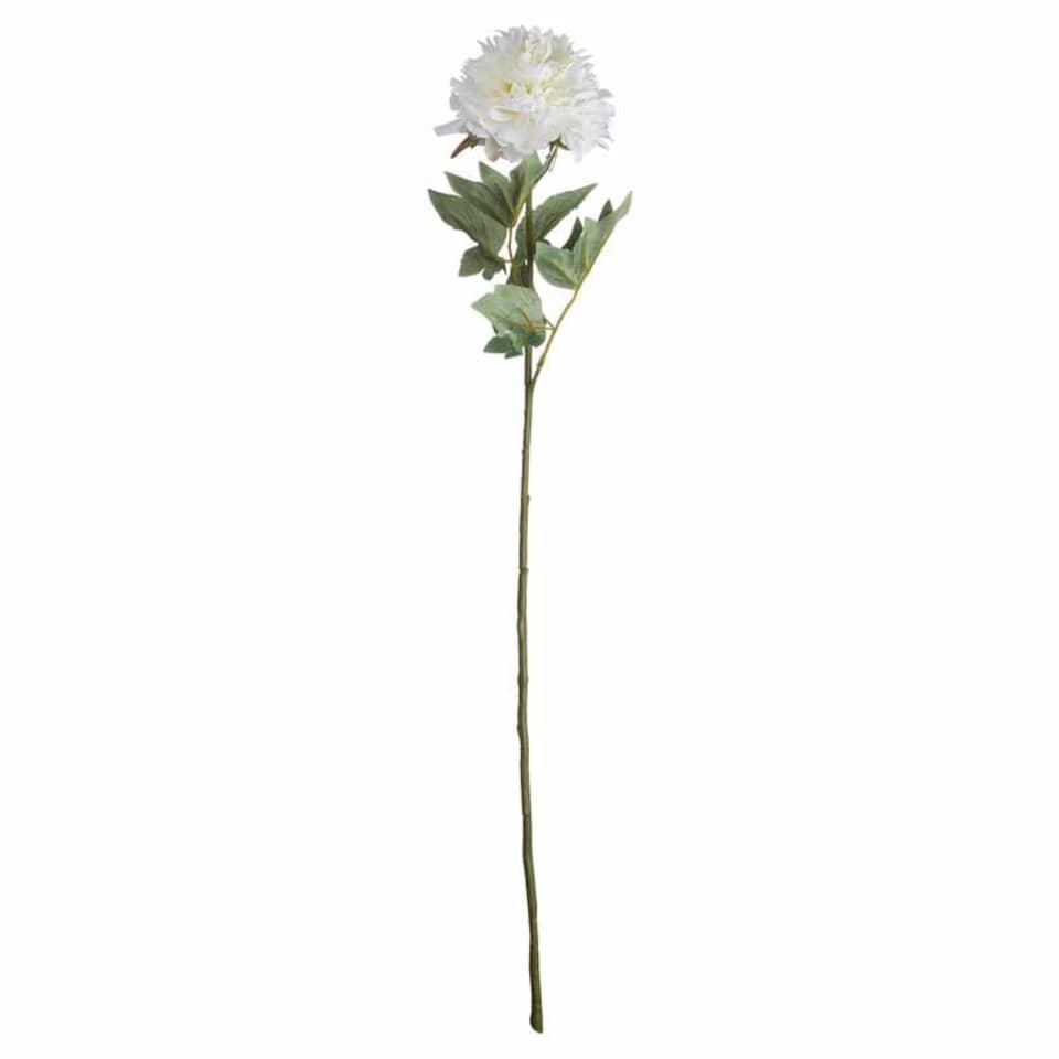 image 1 of Classic Peony Artificial Plant - Fabric/Plastic - L13 x W13 x H69 cm - White