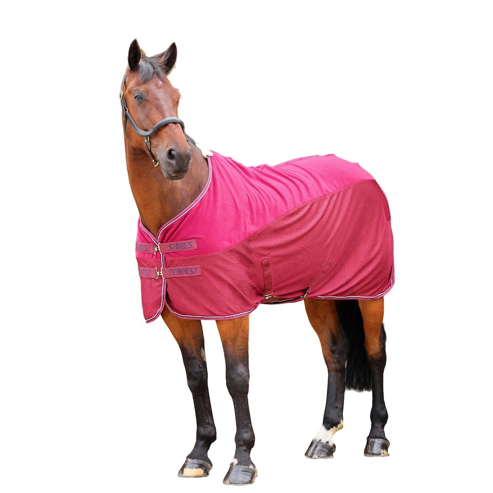 Tempest Original Mesh Horse Cooler Rug - Maroon - 78in