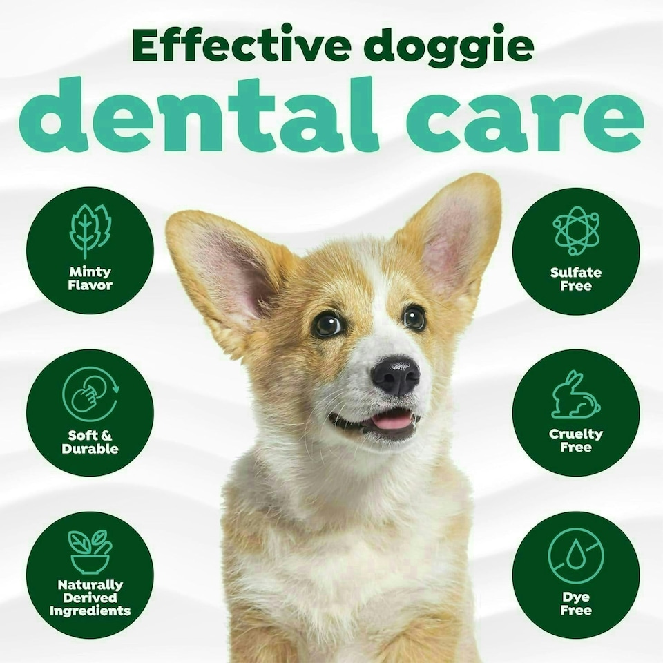 image 1 of TropiClean Fresh Breath Dog Teeth Cleaning Wipes 50pk