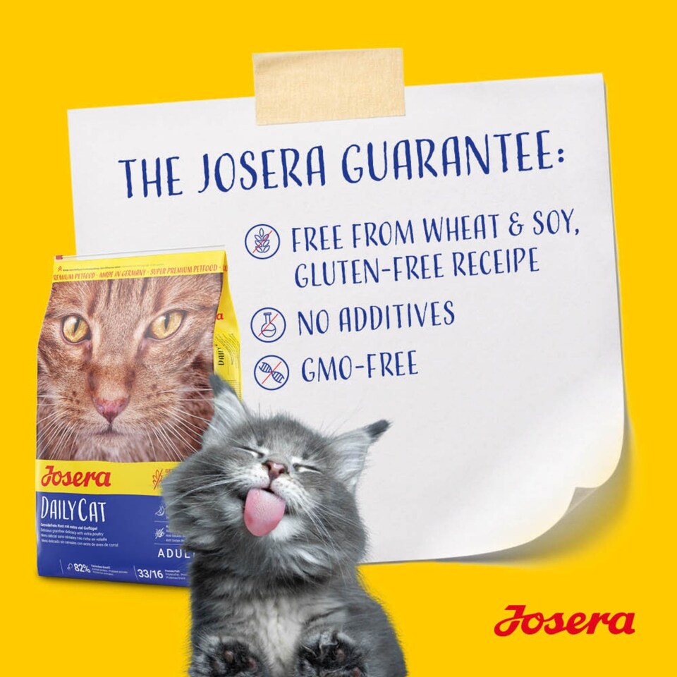 image 1 of Josera DailyCat complete cat food | Grain-free | Ideal for brachycephalic breeds | Chicken & Liver | Anti-hairball | Skin & Coat | Herbs & Fruit | 8x0.4kg