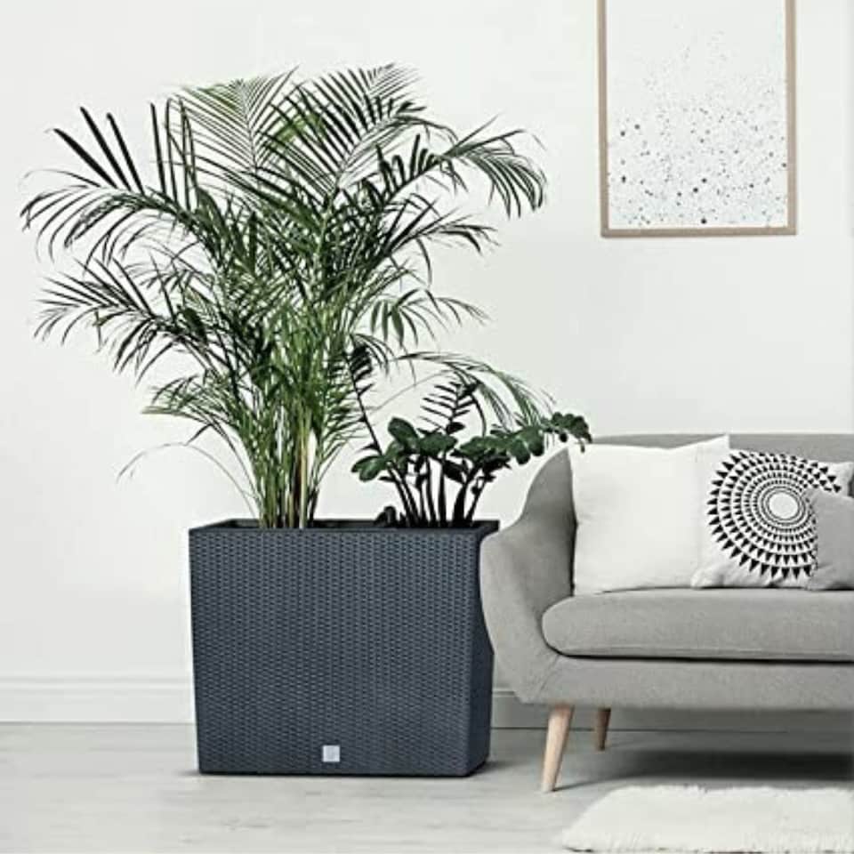 image 1 of Rato Case Tall Rattan Rectangle Flower Pot | Black | 1