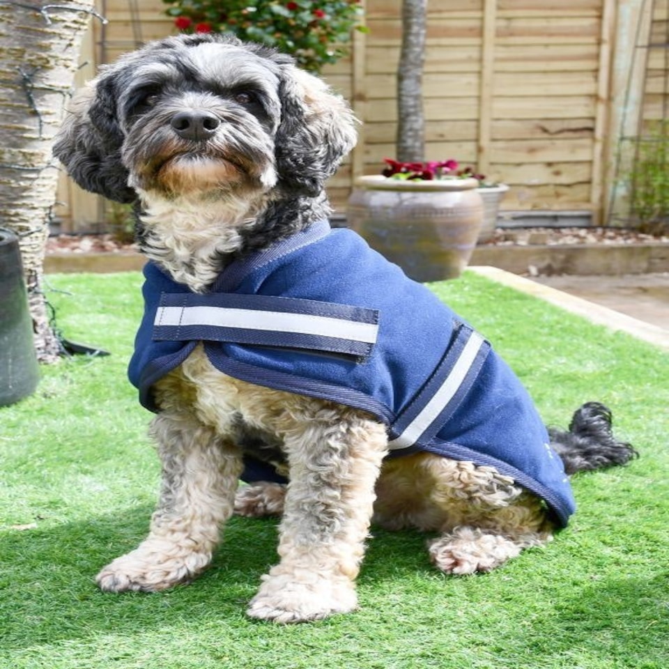 image 1 of Rhinegold Dog Fleece Brown | Brown XXS | XS