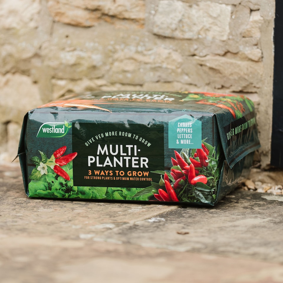 image 1 of Westland Peat Free Multi-Planter Medium 40 Litre