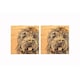 image 1 of The Just Slate Company Set of 2 Cockapoo Oak Coasters