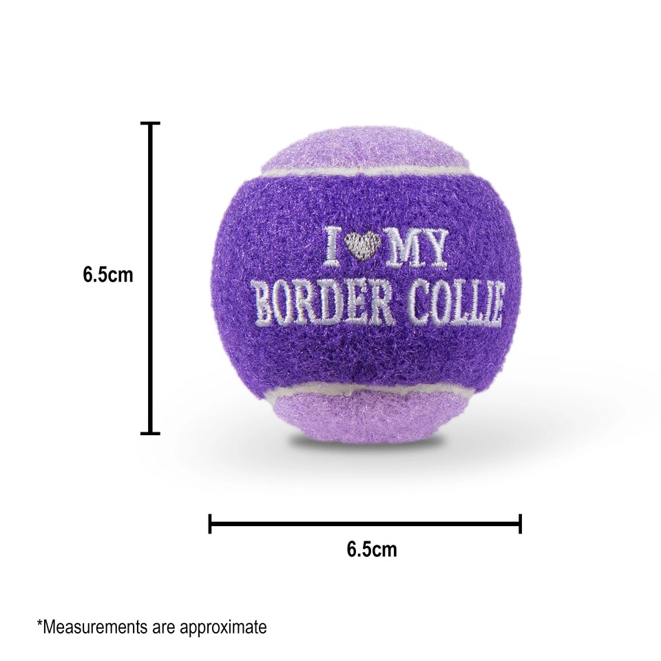 image 1 of Pre-Personalised Dog Ball Gift Pack 2pcs Purple Maisie