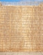 image 1 of Primrose Peeled Reed Natural Garden Privacy Screening Roll W4m x H1.2m | Brown | Brown