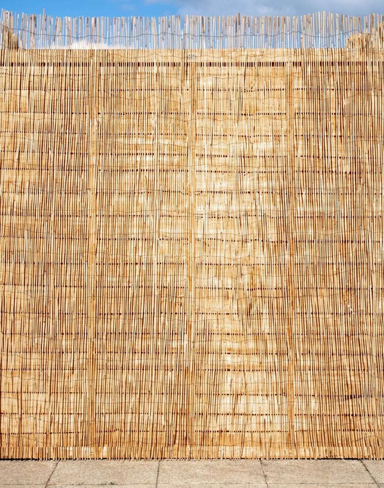 image 1 of Primrose Peeled Reed Natural Garden Privacy Screening Roll W4m x H1.2m | Brown | Brown