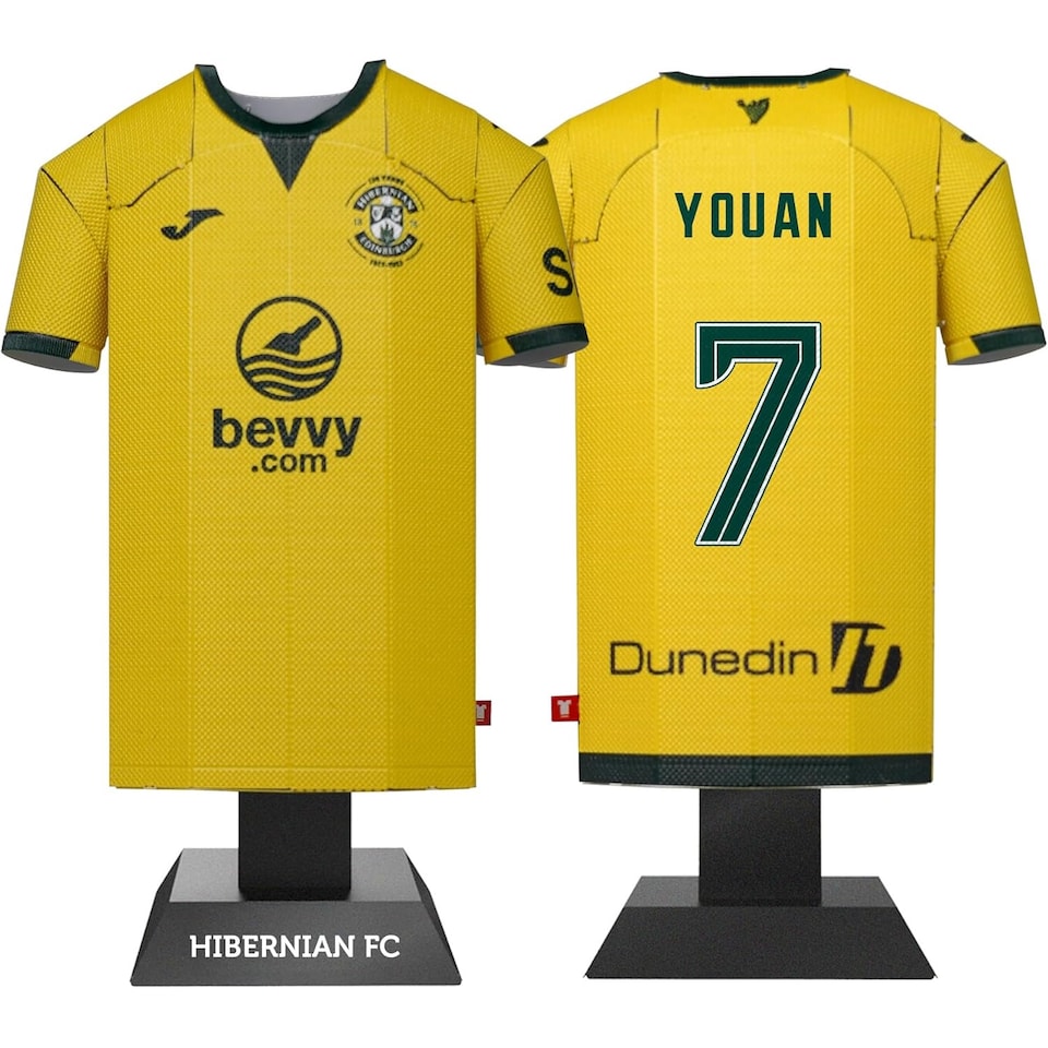 image 1 of RadStuff Metal Alloy Football Shirt - Hibernian FC Away Kit 2025/26